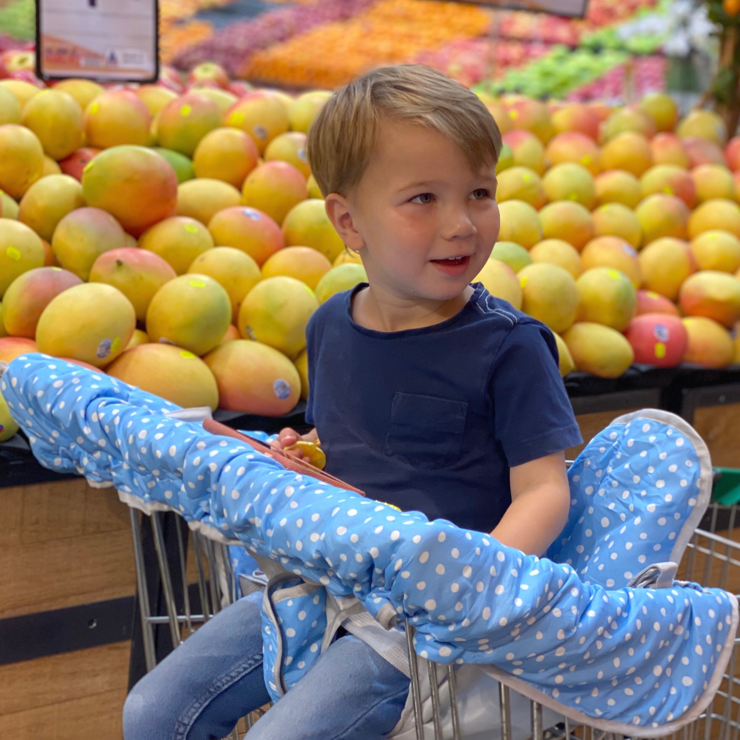Shopping Cart & Highchair Cover - Blue Dots