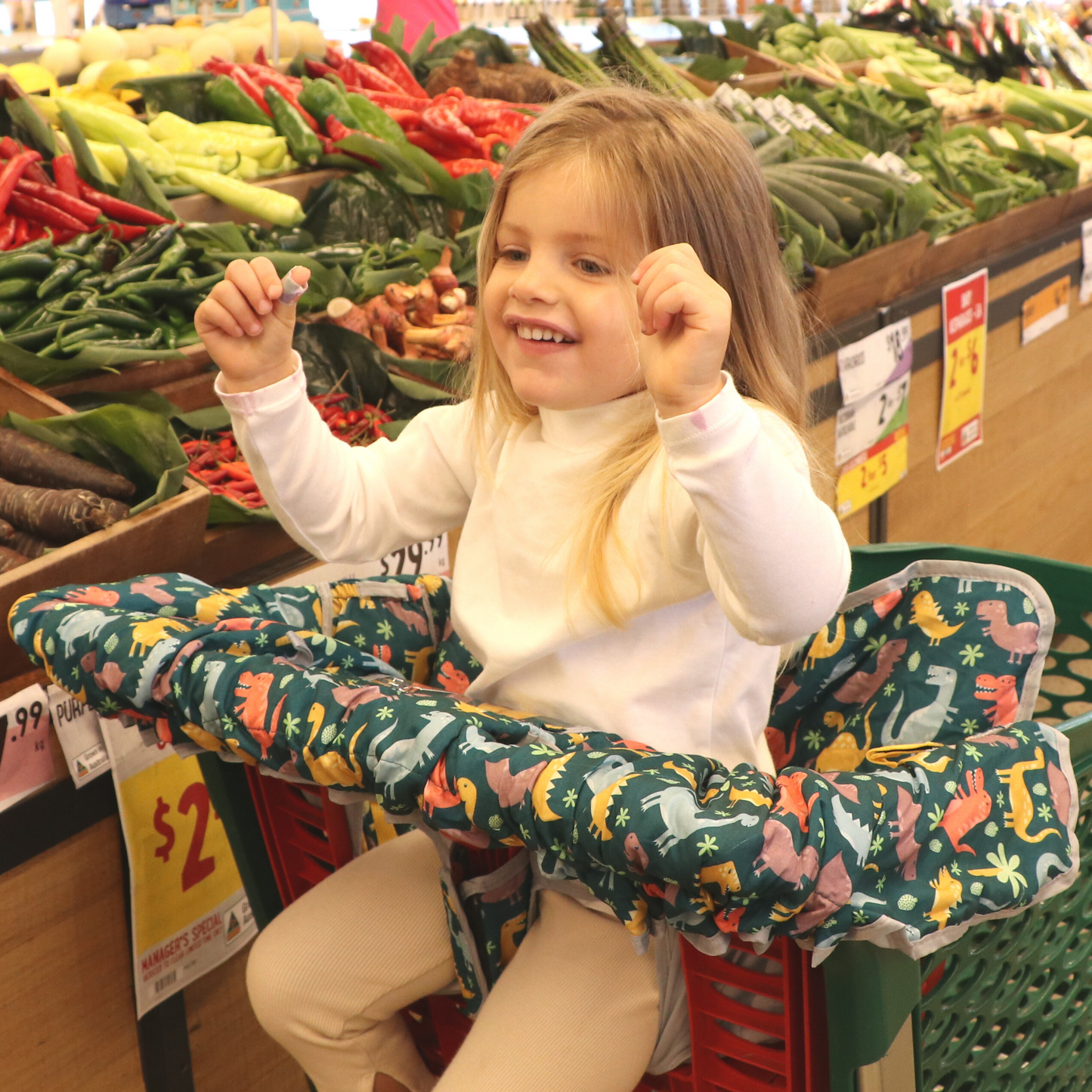 Shopping Cart & Highchair Cover - Dinosaurs